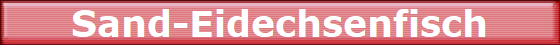 Sand-Eidechsenfisch
